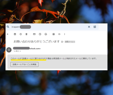 ホームページに独自ドメインが必要な理由